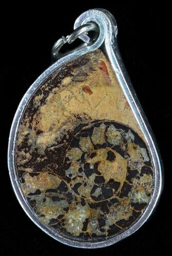 Moroccan Ammonite Fossil Pendant #58403